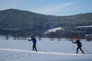 Langlaufloipen im Regental Bayerischer Wald